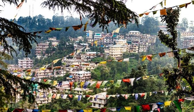 Dharamsala Domestic Tour